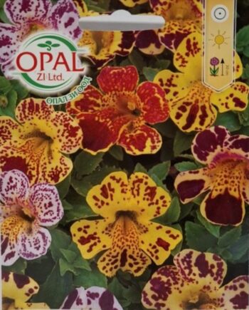 Mimulus tigrinus е цъфтящо растение с пъстри, тигрово прошарени цветове. Подходящо за влажни места, саксии и цветни лехи с продължителен летен цъфтеж.