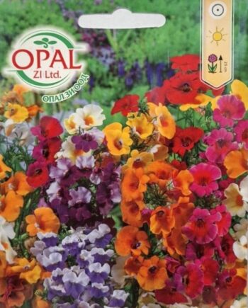 Nemesia strumosa е компактно, обилно цъфтящо растение с ярки двуцветни цветове и фин аромат. Подходящо за лехи, бордюри и саксии с продължителен пролетно-летен цъфтеж.
