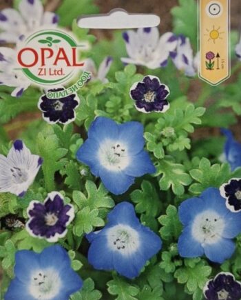 Nemophila species са нежни едногодишни растения с ефирни сини, бели или прошарени цветове. Подходящи за пролетни лехи, алпинеуми и цветни килими.