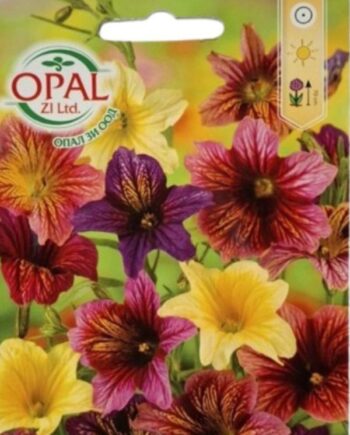 Salpiglossis sinuata е ефектно едногодишно растение с кадифени цветове и изразени жилки в наситени багри. Подходящо за цветни лехи и рязан цвят с продължителен летен цъфтеж.