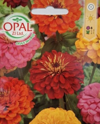 Zinnia elegans е едногодишно цвете с едри, ярки и дълготрайни съцветия. Подходяща за цветни лехи, бордюри и рязан цвят.