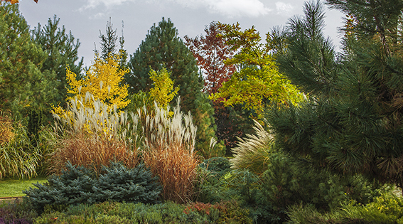 dvorat-autumn-yard-npk